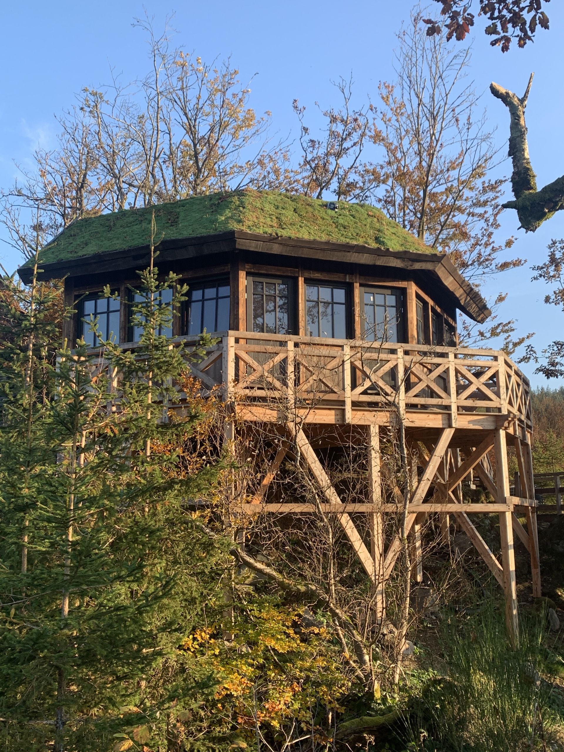 La Cabane d'Arthur - Les Cabanes de Rensiwez